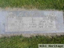 James William "jim" O'daniel