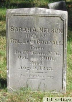 Sarah A. Nelson Goodale