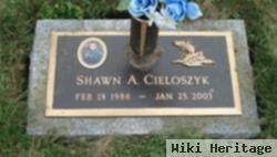 Shawn A. Cieloszyk