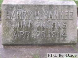 Harry Yankee