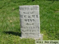 Walter Scott Mead