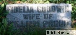 Fidelia Goodwin Proud