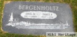 Opal Bergenholtz