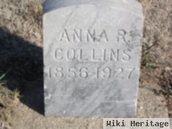 Anna R Collins