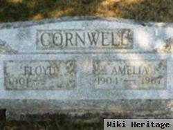 Floyd Cornwell