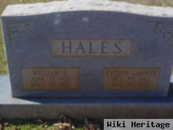 William S Hales