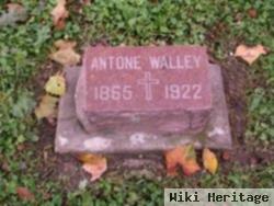 Antone Walley