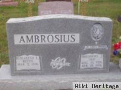 Theodore Joseph "ted" Ambrosius