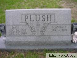 David J. Plush