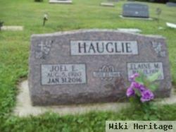 Joel E Hauglie