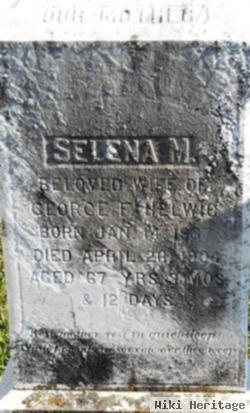 Selena M. Helwig