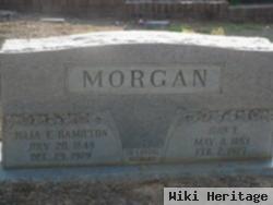 Julia Ellen Hamilton Morgan