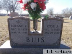 Roland R. Buis