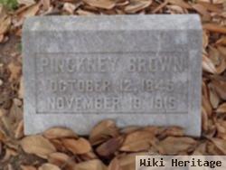 Pinckney Brown