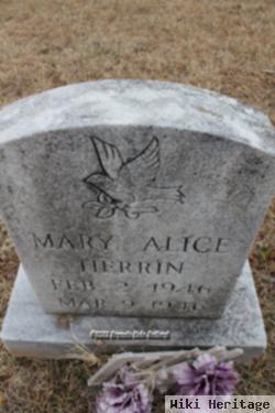 Mary Alice Herrin