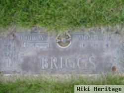 Douglas J Briggs