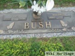 Carl Bush