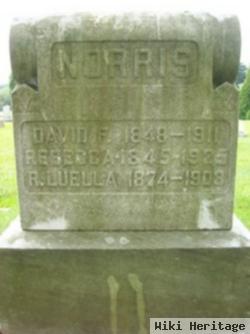 David F. Norris