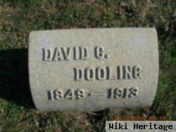 David C Dooling