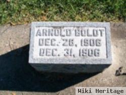 Arnold Boldt