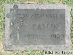 Kathleen E Kaelin