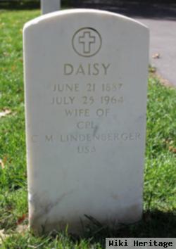 Daisy Lindenberger