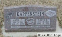 Edwin Henry Kapfenstein