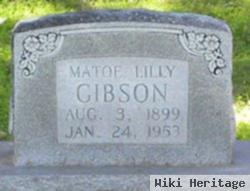 Matoe Lilly Gibson