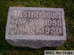 G Lester Brouse