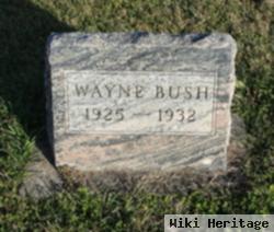 Clarence Wayne Bush