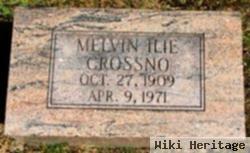 Melvin Ilie Crossno