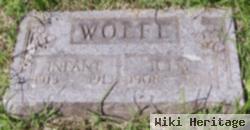 Infant Wolfe