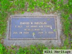 David R Nelson