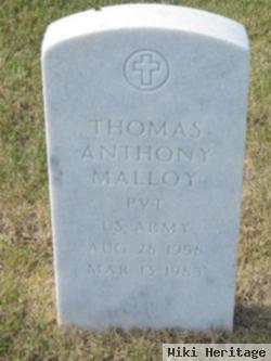 Thomas Anthony Malloy