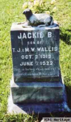 Jackie B. Wallis