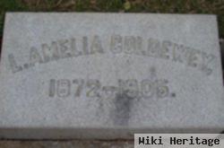 Lillie Amelia Coldewey