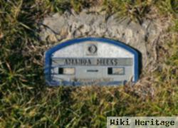 Amanda Betty Peterson Meeks