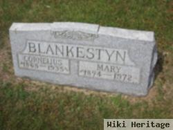 Cornelius Blankestyn