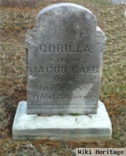 Corilla Kalb