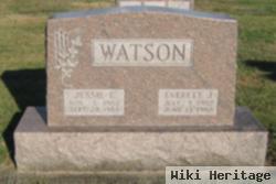 Everett J Watson