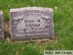 Diane Conlon Larson