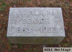 Amalie H. Scharf