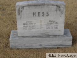 Susan M Hess