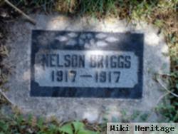 Nelson Briggs