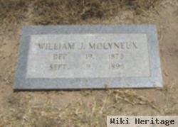 William J Molyneux