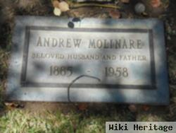 Andrew Molinare