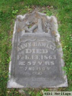 Alvy Hawley