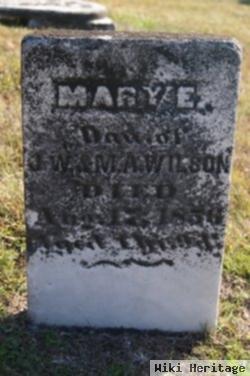 Mary E. Wilson