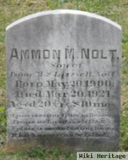 Ammon Nolt