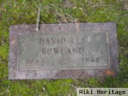 David Lee Rowland